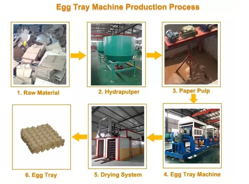 Egg Tray Equipment Hot Sale